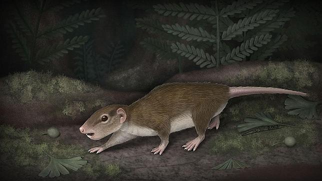 Descubren fósil de roedor de 160 millones de años