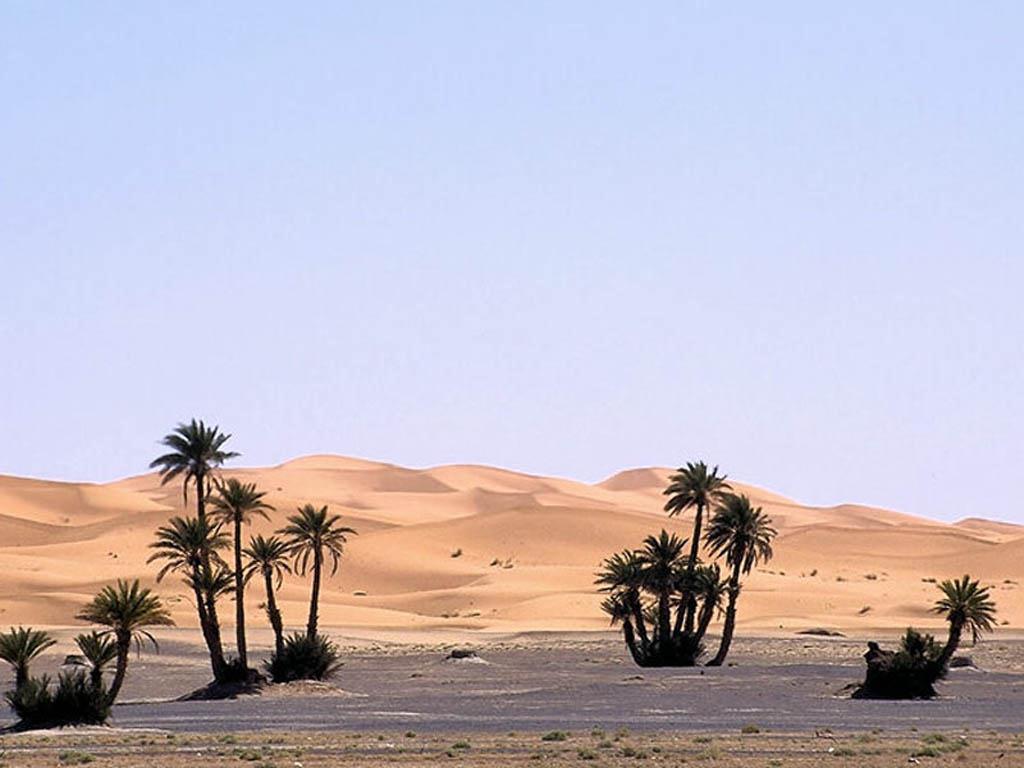 Imágenes sorprendentes de los desiertos más peligrosos