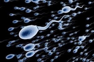 ¿El Covid-19 puede afectar la calidad de los espermatozoides?