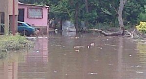 Unas 500 familias afectadas por desbordamiento de dique en Aragua