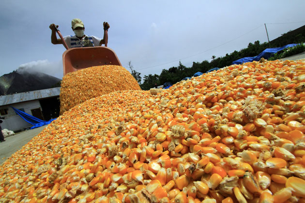 Llegan al país 60 mil toneladas de maíz y de azúcar desde México y Brasil