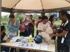Más de 150 mascotas fueron atendidas en jornada de vacunación en Los Salias