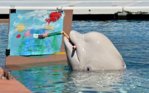 Un acuario japonés enseña a pintar a sus ballenas belugas (Fotos)