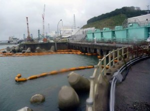 La prefectura de Fukushima analizará por su cuenta la radiación en el océano