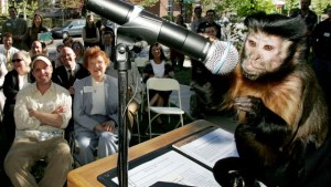 La gente hace las mismas decisiones básicas de inversión que los monos, afirman científicos