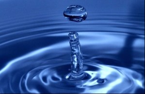 Coca Cola Venezuela y TNC impulsan creación de Fondo de Agua para conservación del recurso hídrico