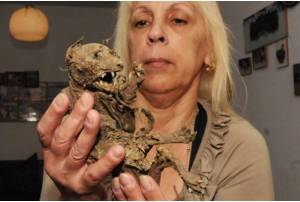 Familia exhibe esqueleto de animal parecido al “chupacabras” (Fotos)