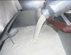 Productores exigen pago de aumento en el precio de la leche