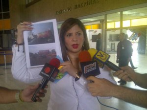 Diputada Nora Bracho: El CNE debe sancionar a los que violen la Lope