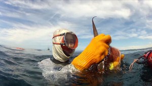 La tradición de pescar en apnea (Video)