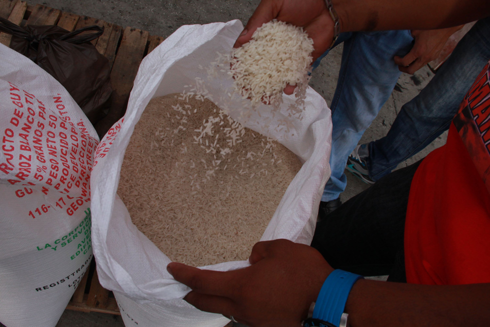 Producción nacional de arroz sólo cubre 56% de la demanda