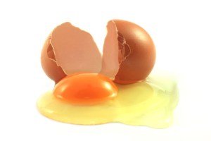 El huevo, un tesoro culinario para combatir el hambre en el mundo
