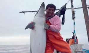 Pescador mata a un delfín y sube la foto en Facebook (Pa´ la cárcel)