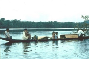 El Amazonas venezolano es la otra retaguardia de las Farc