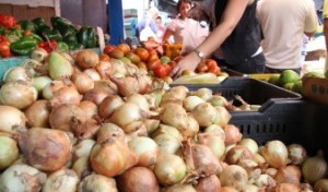 Comprar cebollas se vuelve un lujo por su precio mega SUSTO