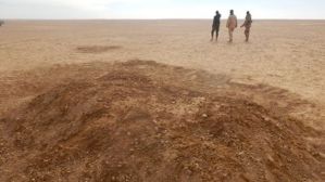 Hallan 87 inmigrantes muertos de sed en el Sahara