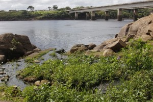 Aguas negras proliferan contaminación a todo riesgo en ríos de Guayana