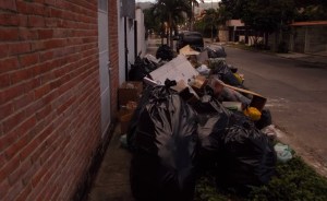 Cocchiola decreta estado de alarma por basura en Valencia