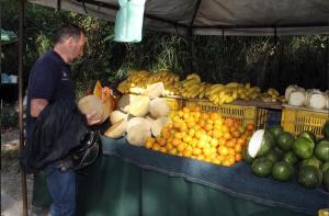 Comerciantes venden 90 kilos de mandarina al día