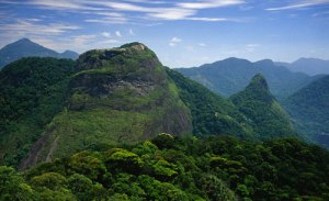 Rescatan dos turistas españoles perdidos en parque natural de Río de Janeiro