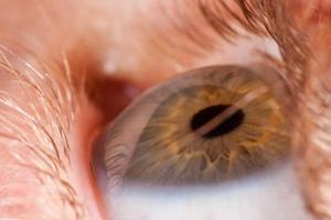 Científicos imprimen células oculares para reparar retina dañada