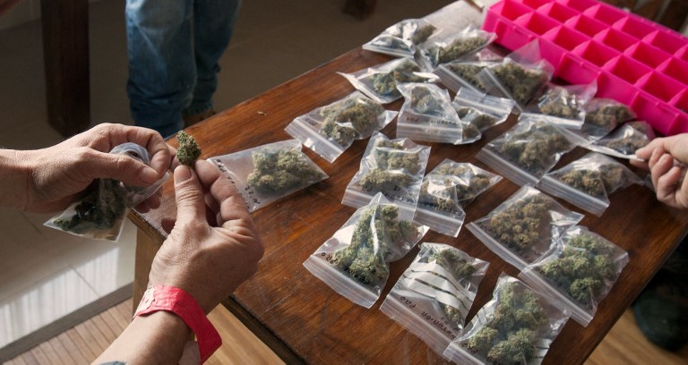Jamaica inicia redacción de normativa sobre licencias de consumo de cannabis