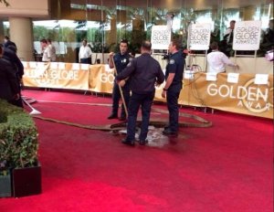 Inundación amenazó la alfombra roja de los Golden Globes 2014 (Fotos)