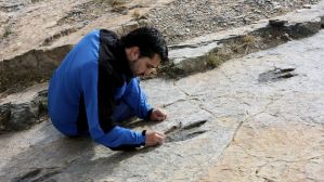 Identifican por primera vez dinosaurios de la Península Arábiga
