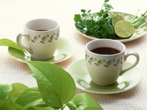 Conozca los beneficios del té verde
