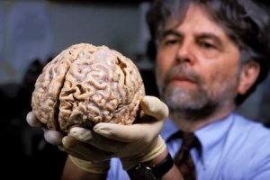 Más de 300 neurocientíficos se reúnen en España para hablar del cerebro