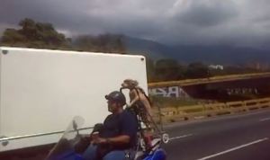 #SoloEnVenezuela El perro motorizado (Video)