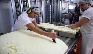 Industriales del queso esperan aprobación de divisas