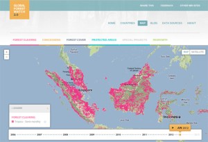 Lanzan web para rastrear la deforestación global “casi en tiempo real”