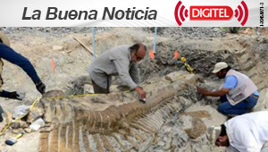 Descubren restos de una nueva especie de dinosaurio en Portugal