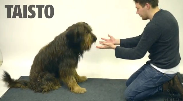 Definitivamente a los perros no le gustan esta clase de trucos de magia ( Video)