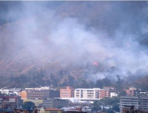 Incendio forestal en el Ávila a la altura de Sebucán (Fotos)