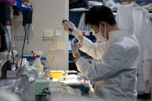Centros nipones recibirán este año partidas de células iPS para tratamientos