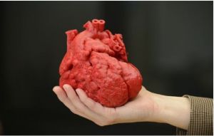 Impresión 3D de un corazón salva la vida de un niño