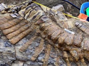 Descubren restos de dinosaurio que vivió hace 66 millones de años