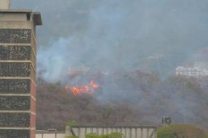 Incendio en el Jardín Botánico de la UCV controlado por los bomberos (Fotos)