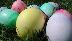 Conejo de Pascua pondrá huevos en La Colonia Tovar este fin de semana