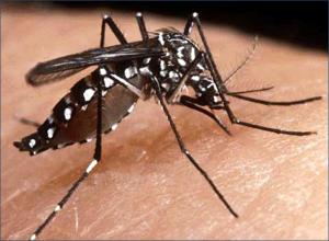 Reportan caso de “coronadengue”, infección simultánea entre dengue y Covid