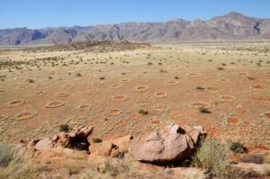 Científicos hallan un patrón homogéneo en los “círculos de hadas” en Namibia