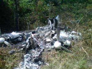 Fanb derribó otra avioneta en Apure (Foto)