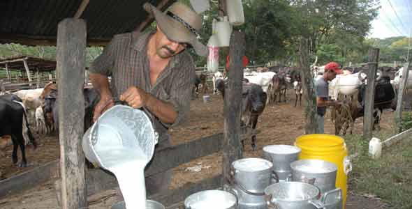 Colombia exportará leche a Rusia, Bielorrusia y Kazajistán