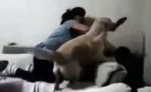 Perro hace de “mediador” e impide que una madre castigue a su hijo (Video)