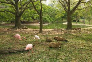 Crean el Sistema Nacional de Zoológicos, Acuarios y Centros Afines