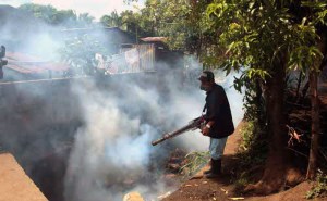 Salud Miranda refuerza saneamiento ambiental para controlar casos de dengue