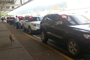 Camionetas oficiales abusando en el aeropuerto de Maiquetía (fotos)