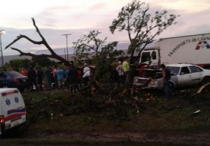 Un árbol cayó encima de tres vehículos en la ARC (Fotos)